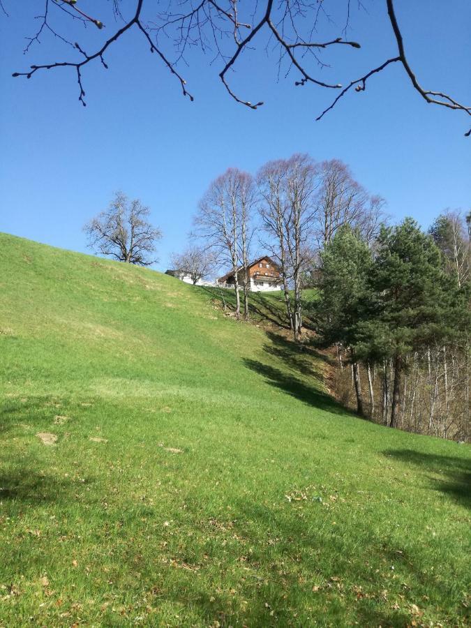 Ferienwohnung Marte Viktorsberg エクステリア 写真